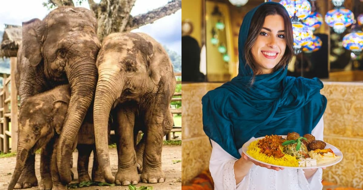 Chiang Mai Muslim Travel