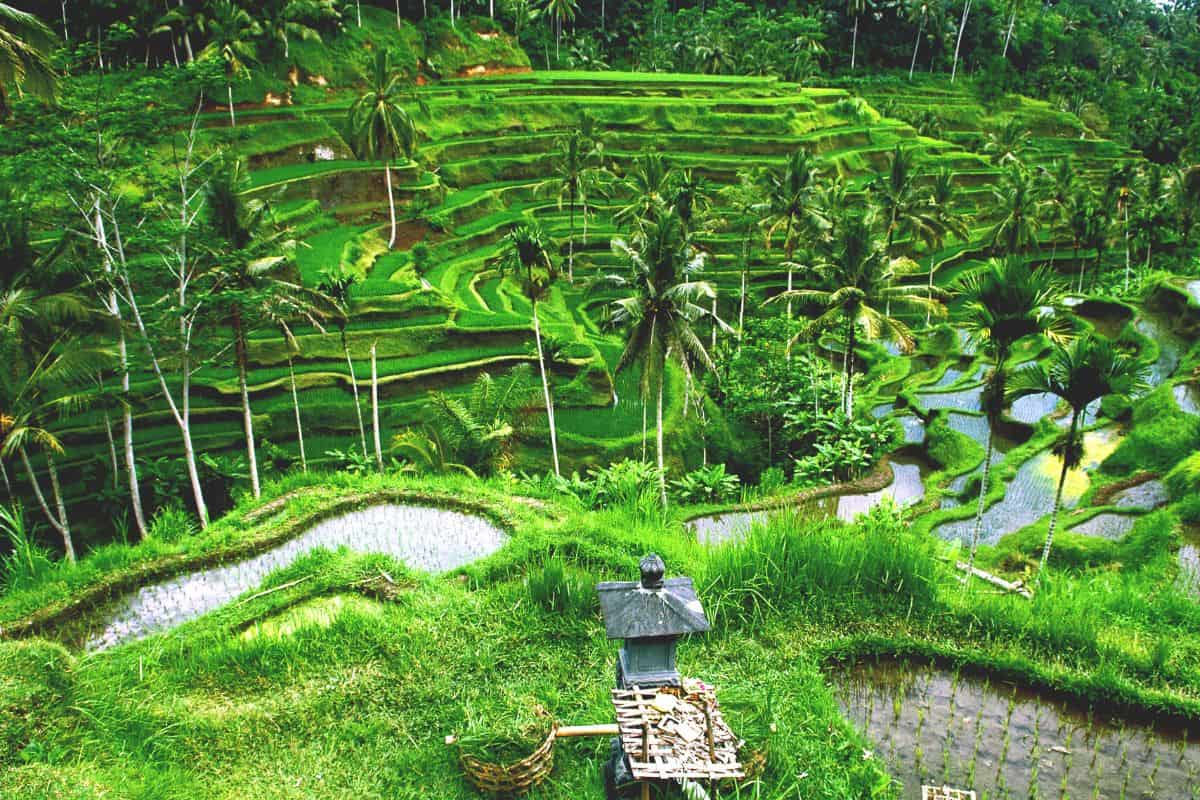 Halal Travel Bali
