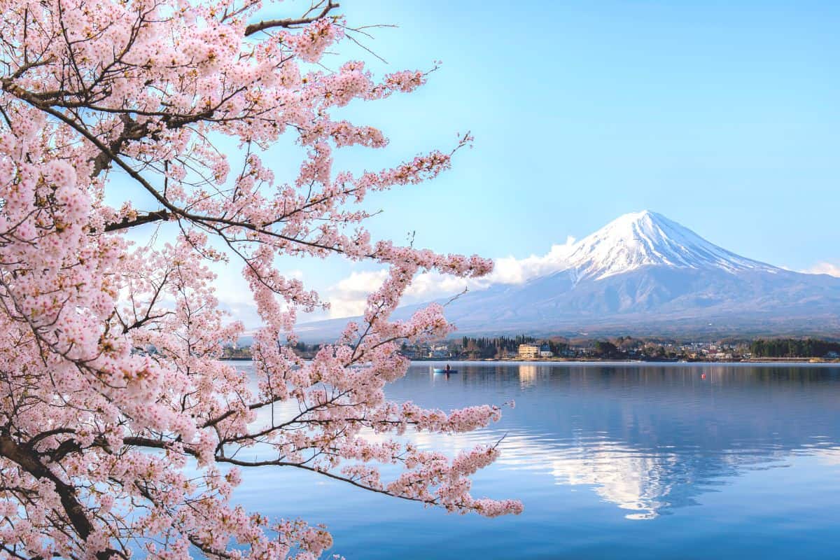 Halal Travel Tokyo
