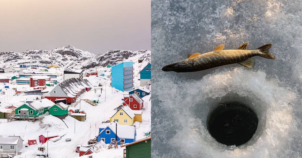Is Greenlandic Food Halal