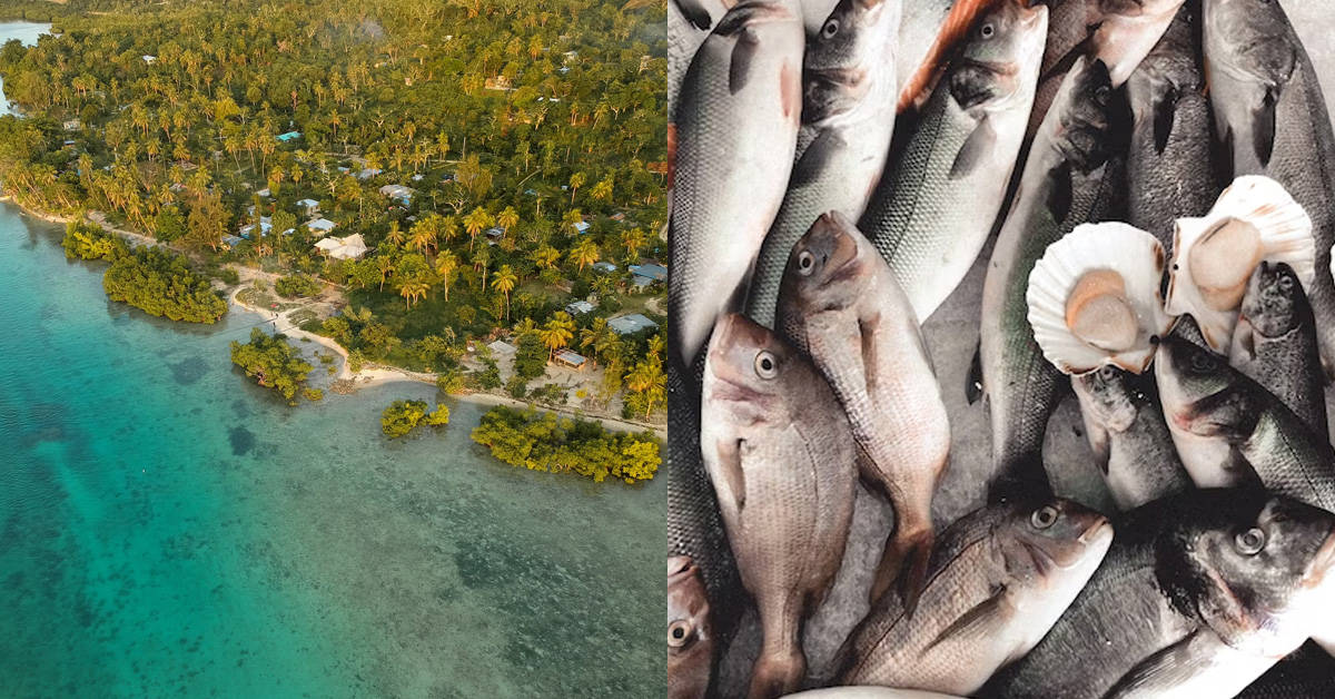 Is Vanuatu Food Halal