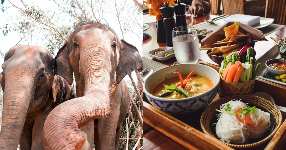 Halal Food in Phuket